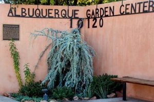 Your Guide: ABQ Garden Center Treasures & Tips! | The Ultimate Gardening Guide: Grow a Thriving Garden Year-Round