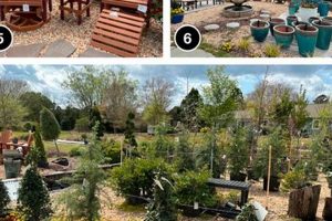 Your Local Johnson Nursery & Garden Center Oasis | The Ultimate Gardening Guide: Grow a Thriving Garden Year-Round