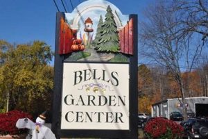 Your Local Bells Lawn & Garden Center: Supplies & More | The Ultimate Gardening Guide: Grow a Thriving Garden Year-Round