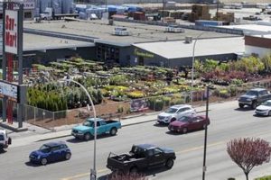 Your Wenatchee Garden Center: Plants, Supplies & More! | The Ultimate Gardening Guide: Grow a Thriving Garden Year-Round