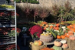 Find Your Fertile Garden Center: Supplies & Success! | The Ultimate Gardening Guide: Grow a Thriving Garden Year-Round