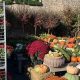 Find Your Fertile Garden Center: Supplies & Success! | The Ultimate Gardening Guide: Grow a Thriving Garden Year-Round
