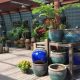 Your Guide to Garden Center St Paul: Plants & More! | The Ultimate Gardening Guide: Grow a Thriving Garden Year-Round