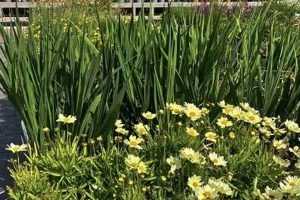 Your Plant Place Garden Center: [City Name] Blooms! | The Ultimate Gardening Guide: Grow a Thriving Garden Year-Round