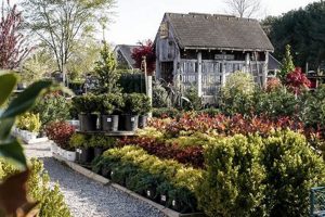 Your Local Baker's Home and Garden Center | Plants & More The Ultimate Gardening Guide: Grow a Thriving Garden Year-Round Your Local Baker's Home and Garden Center | Plants & More | The Ultimate Gardening Guide: Grow a Thriving Garden Year-Round