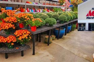 Your Local Ace Garden Center Oakland Guide | The Ultimate Gardening Guide: Grow a Thriving Garden Year-Round