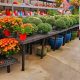 Your Local Ace Garden Center Oakland Guide | The Ultimate Gardening Guide: Grow a Thriving Garden Year-Round