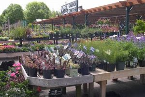 Grow With Corliss Brothers Garden Center & Nursery - Plants & More! | The Ultimate Gardening Guide: Grow a Thriving Garden Year-Round