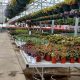 Your Winding Creek Nursery & Garden Center Inc. Oasis! | The Ultimate Gardening Guide: Grow a Thriving Garden Year-Round