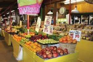 Best Farm Patch Photos: Markets & Garden Center Views | The Ultimate Gardening Guide: Grow a Thriving Garden Year-Round