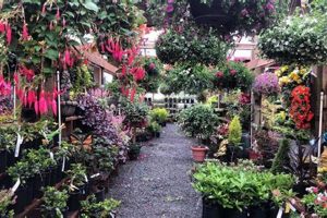 Your Local Bayles Garden Center & Nursery Inc. The Ultimate Gardening Guide: Grow a Thriving Garden Year-Round Your Local Bayles Garden Center & Nursery Inc. | The Ultimate Gardening Guide: Grow a Thriving Garden Year-Round