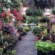 Your Local Bayles Garden Center & Nursery Inc. | The Ultimate Gardening Guide: Grow a Thriving Garden Year-Round