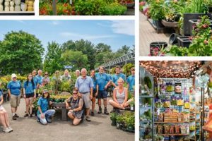 Your Guide to Mahoney's Garden Center Tewksbury, MA | The Ultimate Gardening Guide: Grow a Thriving Garden Year-Round