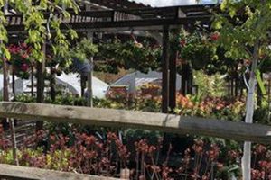 Your Hadley Garden Center: Plants, Supplies & More! | The Ultimate Gardening Guide: Grow a Thriving Garden Year-Round