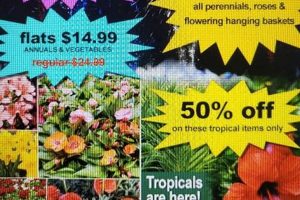 Your Local Westminster Nursery & Garden Center: Plants & More | The Ultimate Gardening Guide: Grow a Thriving Garden Year-Round