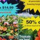 Your Local Westminster Nursery & Garden Center: Plants & More | The Ultimate Gardening Guide: Grow a Thriving Garden Year-Round