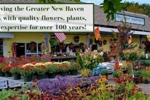Your Cheshire Nursery & Garden Center: Plants & More! | The Ultimate Gardening Guide: Grow a Thriving Garden Year-Round