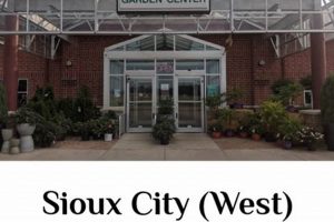 Your Guide to Earl May Garden Center in Lawrence, KS | The Ultimate Gardening Guide: Grow a Thriving Garden Year-Round