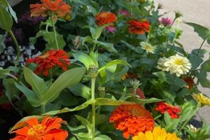 Your Bayles Garden Center Port Washington Guide & Tips | The Ultimate Gardening Guide: Grow a Thriving Garden Year-Round