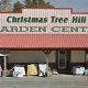 Your Christmas Tree Hill Garden Center: Plants & More! | The Ultimate Gardening Guide: Grow a Thriving Garden Year-Round