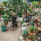 Your Local Baker's Garden Center | Shawnee Hills, OH | The Ultimate Gardening Guide: Grow a Thriving Garden Year-Round
