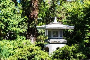 Your Lakeside Garden Center Oakland: Plants & More! | The Ultimate Gardening Guide: Grow a Thriving Garden Year-Round