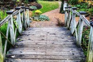 Your Local Sara's Garden Center: Plants & More! | The Ultimate Gardening Guide: Grow a Thriving Garden Year-Round