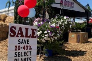 Visit Jordan Garden Center: Plants & More! | The Ultimate Gardening Guide: Grow a Thriving Garden Year-Round