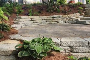 Your Local Mattox Garden Center: Plants & More! The Ultimate Gardening Guide: Grow a Thriving Garden Year-Round Your Local Mattox Garden Center: Plants & More! | The Ultimate Gardening Guide: Grow a Thriving Garden Year-Round