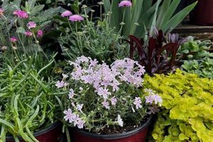 Your Plant the Earth Garden Center: Ideas & More | The Ultimate Gardening Guide: Grow a Thriving Garden Year-Round