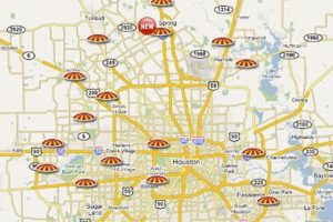 Your Guide to Houston Garden Center Locations Near You | The Ultimate Gardening Guide: Grow a Thriving Garden Year-Round