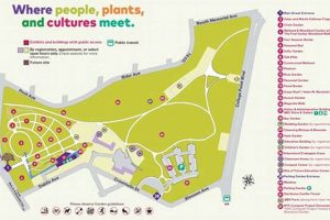 Your Guide to the Best Queens Garden Center [Year] | The Ultimate Gardening Guide: Grow a Thriving Garden Year-Round