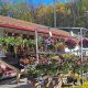 Visit Roxbury Farm and Garden Center Near You! | The Ultimate Gardening Guide: Grow a Thriving Garden Year-Round