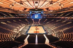 Inside the MSG Training Center: Athlete's Arena The Ultimate Gardening Guide: Grow a Thriving Garden Year-Round Inside the MSG Training Center: Athlete's Arena | The Ultimate Gardening Guide: Grow a Thriving Garden Year-Round