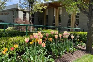 Visit Sugar House Garden Center: Plants, Tips & More The Ultimate Gardening Guide: Grow a Thriving Garden Year-Round Visit Sugar House Garden Center: Plants, Tips & More | The Ultimate Gardening Guide: Grow a Thriving Garden Year-Round