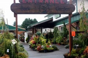 Your Local Bark & Garden Center Olympia WA Guide | The Ultimate Gardening Guide: Grow a Thriving Garden Year-Round