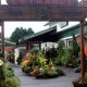 Your Local Bark & Garden Center Olympia WA Guide | The Ultimate Gardening Guide: Grow a Thriving Garden Year-Round