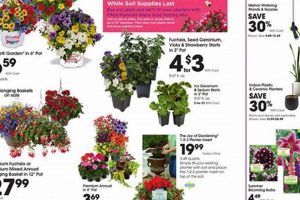 Find Great Deals: Fred Meyer Garden Center Sale Now! | The Ultimate Gardening Guide: Grow a Thriving Garden Year-Round
