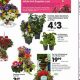 Find Great Deals: Fred Meyer Garden Center Sale Now! | The Ultimate Gardening Guide: Grow a Thriving Garden Year-Round