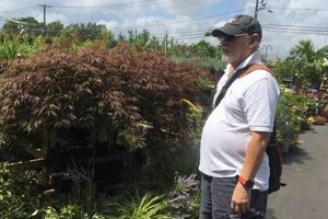 Your Guide to Materas Garden & Nursery Center's Plants & More | The Ultimate Gardening Guide: Grow a Thriving Garden Year-Round