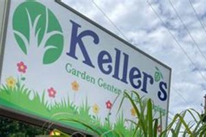 Your Guide to Keller's Garden Center | Plants & More | The Ultimate Gardening Guide: Grow a Thriving Garden Year-Round