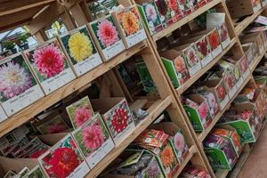 Find Local Nick's Garden Center Jobs: Careers & More | The Ultimate Gardening Guide: Grow a Thriving Garden Year-Round