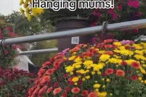 Grow With B & M Lawn & Garden Center: Your Outdoor Oasis The Ultimate Gardening Guide: Grow a Thriving Garden Year-Round Grow With B & M Lawn & Garden Center: Your Outdoor Oasis | The Ultimate Gardening Guide: Grow a Thriving Garden Year-Round