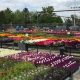 Your Guide to Frenz Garden Center Thiensville WI | The Ultimate Gardening Guide: Grow a Thriving Garden Year-Round
