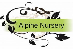 Your Local Alpine Nursery & Garden Center Experts | The Ultimate Gardening Guide: Grow a Thriving Garden Year-Round