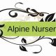 Your Local Alpine Nursery & Garden Center Experts | The Ultimate Gardening Guide: Grow a Thriving Garden Year-Round