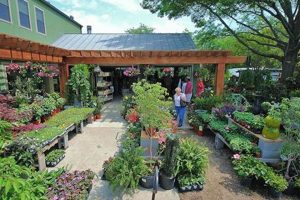 Your Local Walton's Garden Center: Plants & More! | The Ultimate Gardening Guide: Grow a Thriving Garden Year-Round