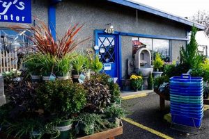 Your Port Townsend Garden Center: Plants & Tips! | The Ultimate Gardening Guide: Grow a Thriving Garden Year-Round