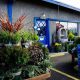 Your Port Townsend Garden Center: Plants & Tips! | The Ultimate Gardening Guide: Grow a Thriving Garden Year-Round