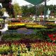 Your Local Lurvey Garden Center: Plants, Tips & More! | The Ultimate Gardening Guide: Grow a Thriving Garden Year-Round